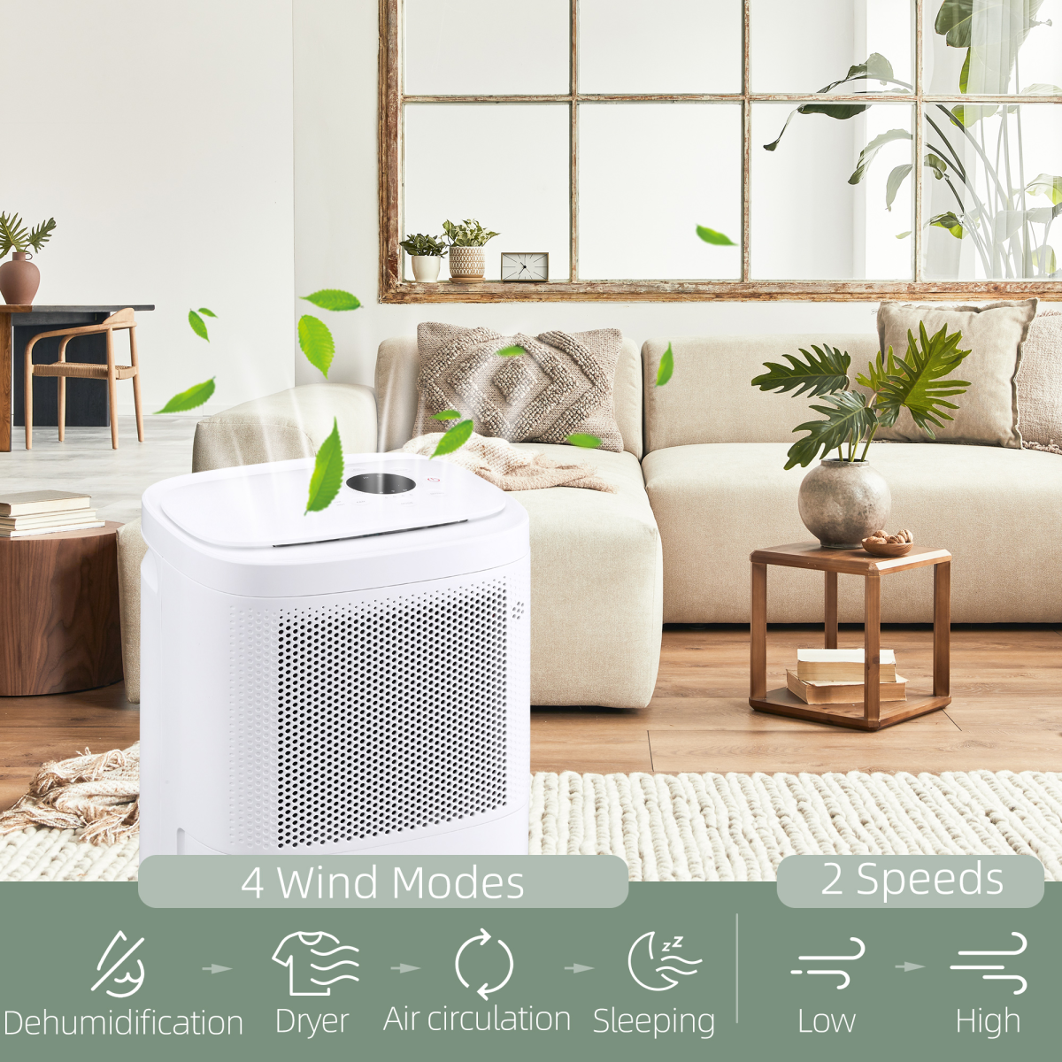 10L/Day 2200ML Portable Quiet Dehumidifier Home Laundry Room Electric Moisture
